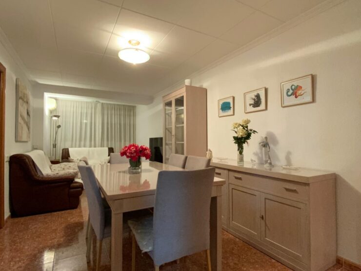 Piso Alquiler C/M Zona jardín Ayora TEMPORADA ESTUDIANTES